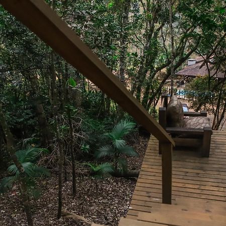 Chale Da Arvore, Vivenda Serra Velha, Chales De Montanha Timbe do Sul 外观 照片