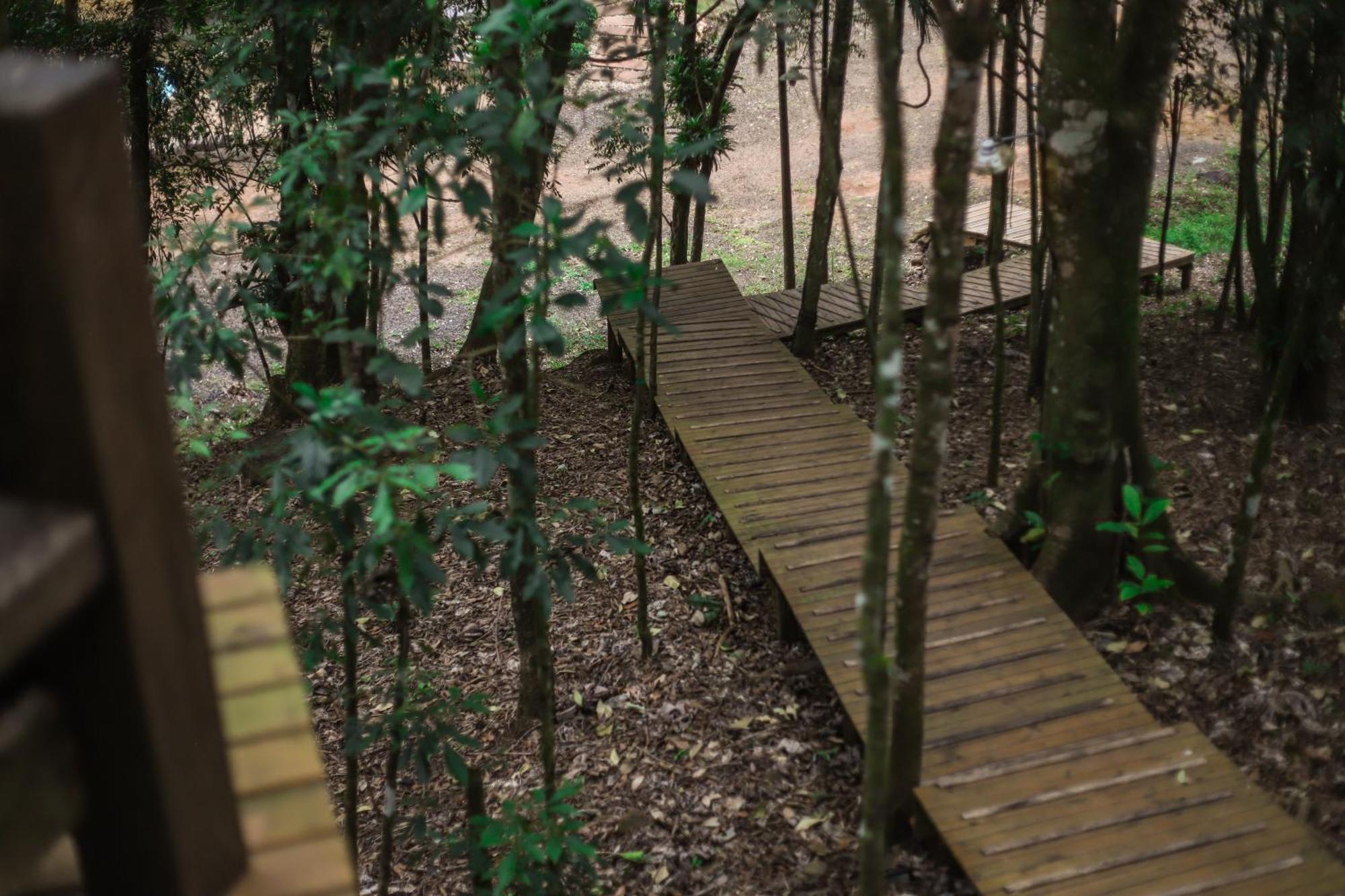 Chale Da Arvore, Vivenda Serra Velha, Chales De Montanha Timbe do Sul 外观 照片