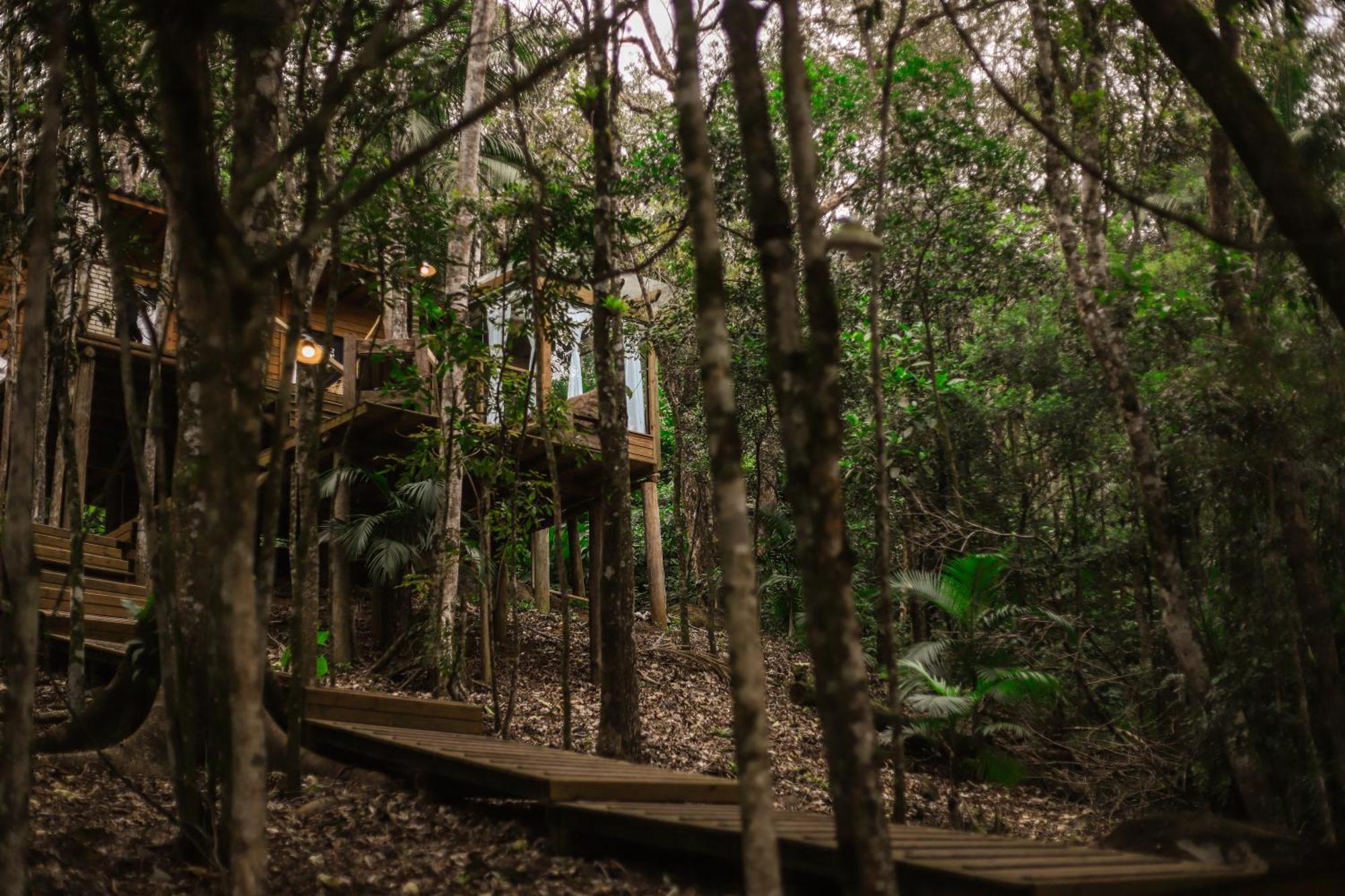 Chale Da Arvore, Vivenda Serra Velha, Chales De Montanha Timbe do Sul 外观 照片