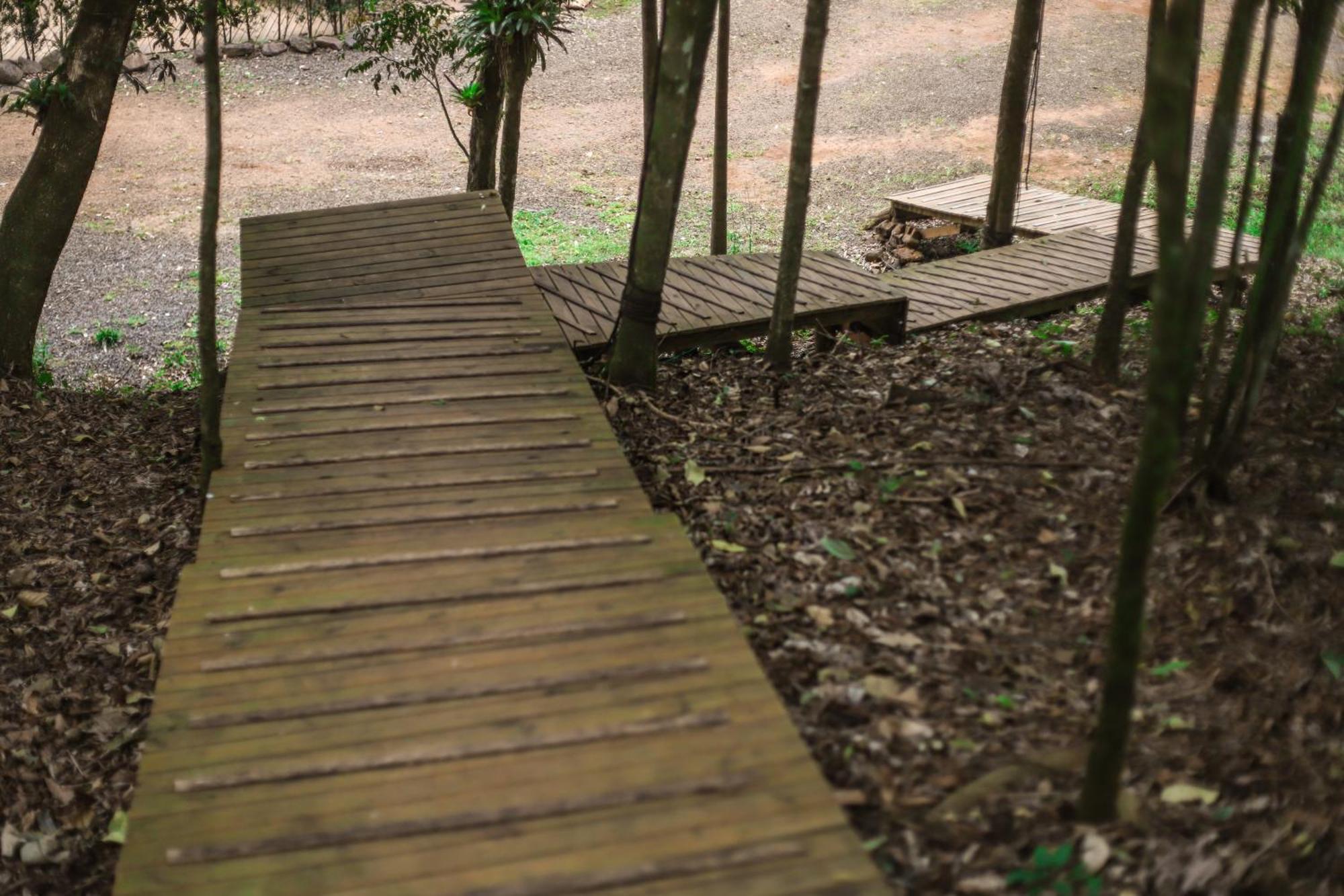 Chale Da Arvore, Vivenda Serra Velha, Chales De Montanha Timbe do Sul 外观 照片