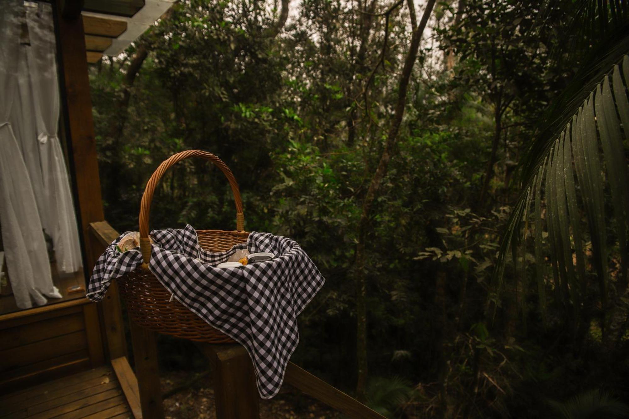 Chale Da Arvore, Vivenda Serra Velha, Chales De Montanha Timbe do Sul 外观 照片